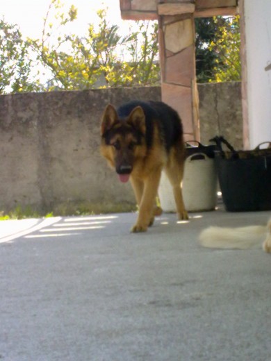 estabamos jugando ..aqui con 1 añito.precioso